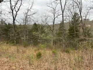1112 Mill Creek Lndg, Shell Knob, MO 65747 photo 2