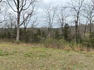 1112 Mill Creek Lndg, Shell Knob, MO 65747 photo 3