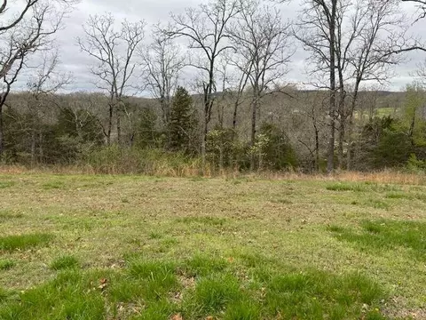 1112 Mill Creek Lndg, Shell Knob, MO 65747 photo 4