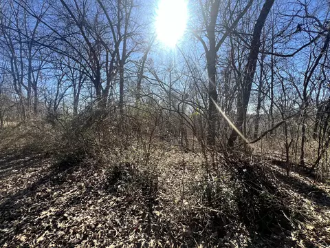 000 St John St, Thayer, MO 65791 photo 3
