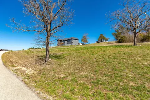 24 Chablis Road, Lampe, MO 65681 photo 11