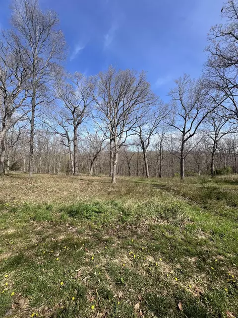 Lots 4&5 County Rd 242 Loop, Wheatland, MO 65779 photo 2