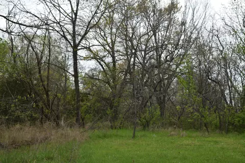 000 Farm Road 1240, Shell Knob, MO 65747 photo 3