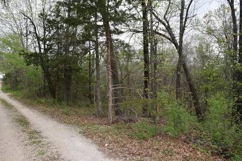 000 Farm Road 1240, Shell Knob, MO 65747 photo 6