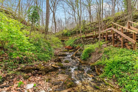 View/Area - 851 Carob Rd, Clever, MO 65631 photo 5 of 20