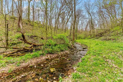 View/Area - 851 Carob Rd, Clever, MO 65631 photo 10 of 20