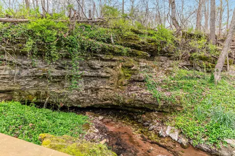 View/Area - 851 Carob Rd, Clever, MO 65631 photo 7 of 20