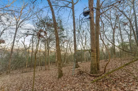 View/Area - 1332 State Highway T, Branson, MO 65616 photo 3 of 4