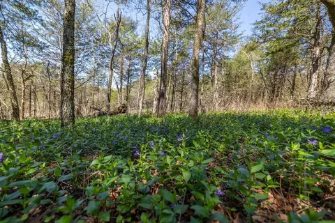 86 2nd Street, Shell Knob, MO 65747 photo 12