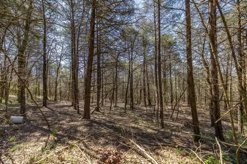 86 2nd Street, Shell Knob, MO 65747 photo 6