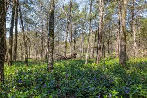 86 2nd Street, Shell Knob, MO 65747 photo 11