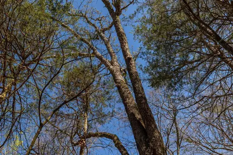 86 2nd Street, Shell Knob, MO 65747 photo 9
