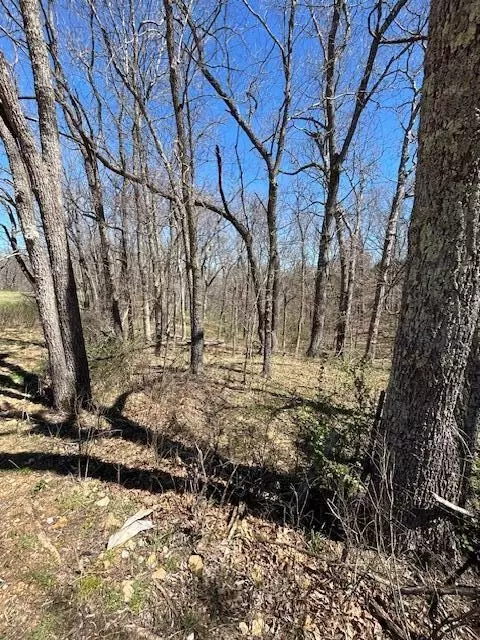 367 385 River Pass Dr, Marshfield, MO 65706 photo 14