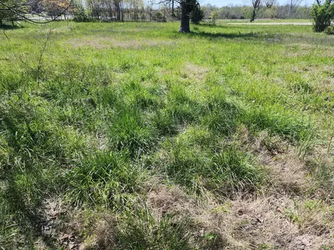 4631 E 20th St, Joplin, MO 64801 photo 1