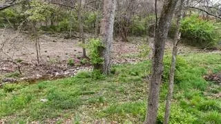 000 E Timber Rock Pl, Springfield, MO 65804 photo 11