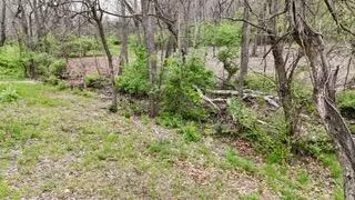 000 E Timber Rock Pl, Springfield, MO 65804 photo 10