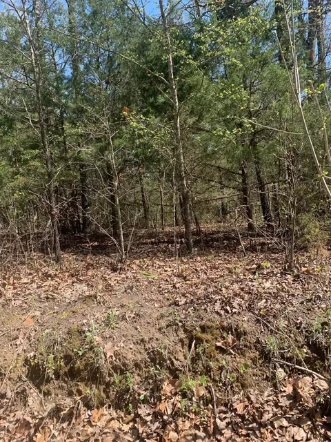 424 State Highway Jj, Ava, MO 65608 photo 7