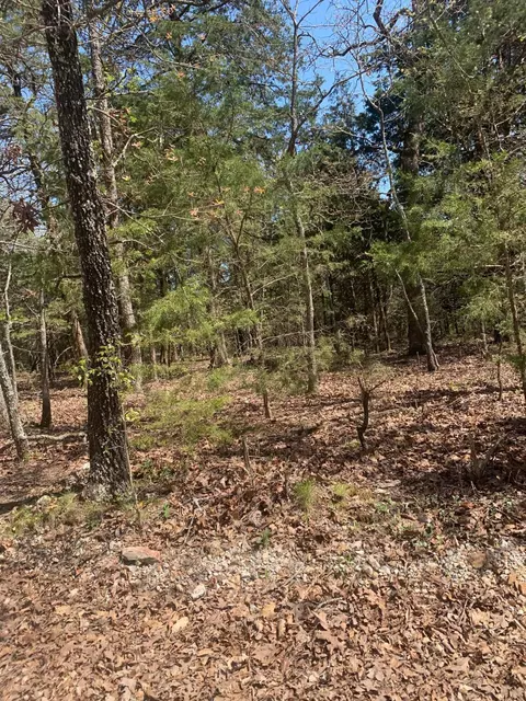 424 State Highway Jj, Ava, MO 65608 photo 2