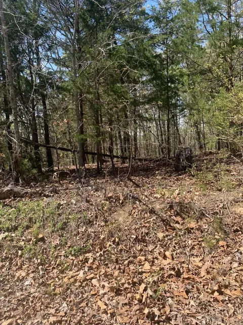 424 State Highway Jj, Ava, MO 65608 photo 6
