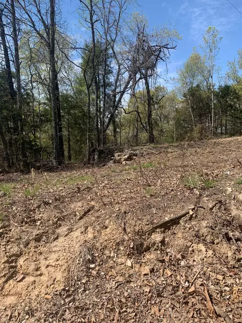 424 State Highway Jj, Ava, MO 65608 photo 3