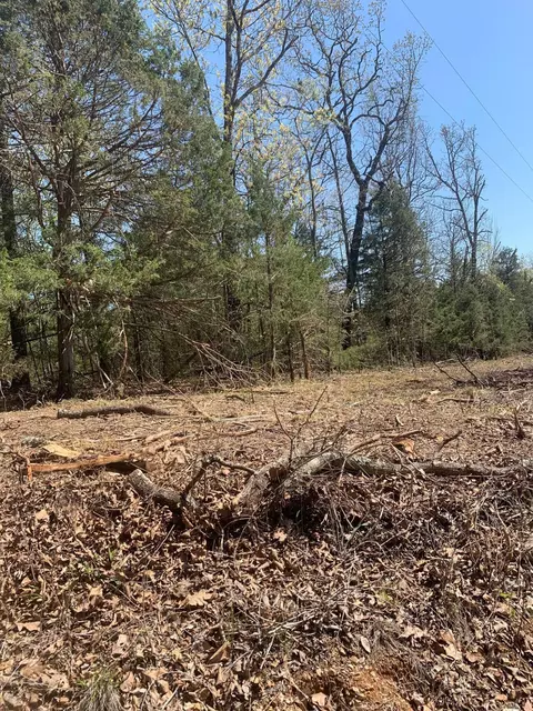 424 State Highway Jj, Ava, MO 65608 photo 5