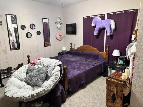 502 E Fourth Street St, Salem, MO 65560 photo 23