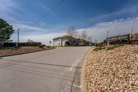 295 Toni Ln #D, Branson, MO 65616 photo 29