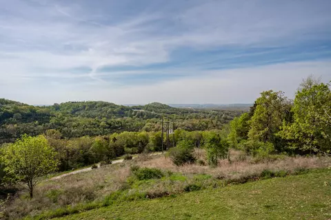 295 Toni Ln #D, Branson, MO 65616 photo 27