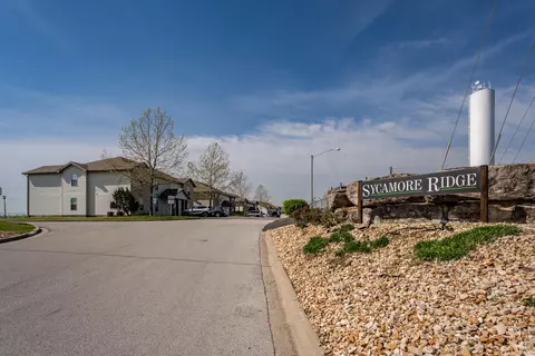 295 Toni Ln #D, Branson, MO 65616 photo 30
