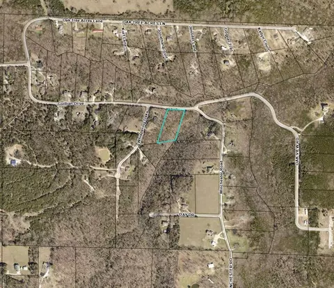 000 Guillian Dr, Branson, MO 65616 photo 14