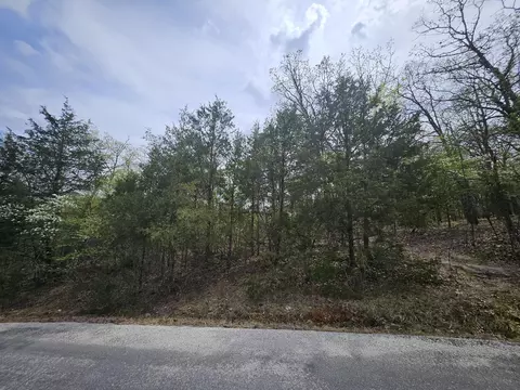 000 Guillian Dr, Branson, MO 65616