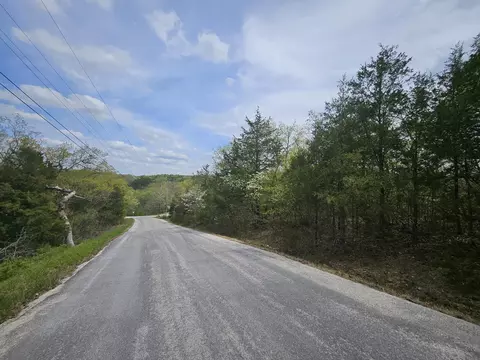 000 Guillian Dr, Branson, MO 65616 photo 15