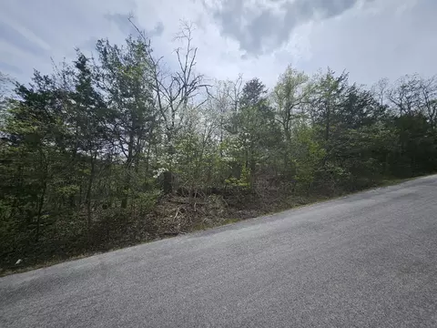000 Guillian Dr, Branson, MO 65616 photo 16