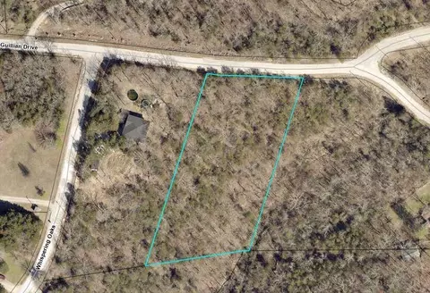 000 Guillian Dr, Branson, MO 65616 photo 4