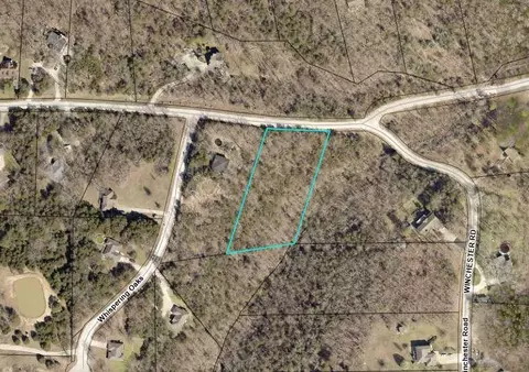 000 Guillian Dr, Branson, MO 65616 photo 12