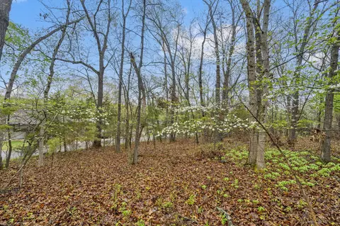 4 Kendall Lane, Branson, MO 65616 photo 16