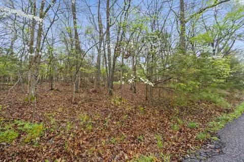 4 Kendall Lane, Branson, MO 65616 photo 14