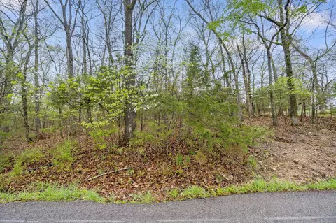 4 Kendall Lane, Branson, MO 65616 photo 13