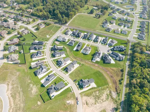 View/Area - 989 E Valley Trail Dr, Republic, MO 65738 photo 4 of 5