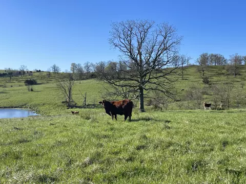 9200 Dead End Dr, Graff, MO 65660 photo 54