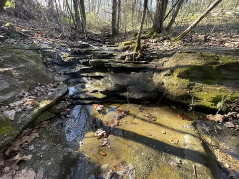 9200 Dead End Dr, Graff, MO 65660 photo 33
