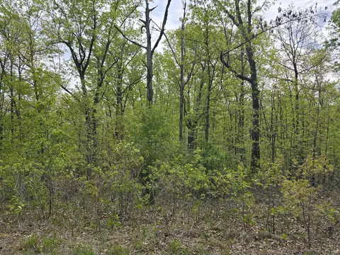 000 Buttercup, Tunas, MO 65764 photo 3
