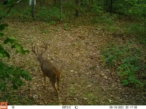 1804 Allison Rd, Goodman, MO 64843 photo 50