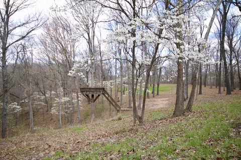 1804 Allison Rd, Goodman, MO 64843 photo 48