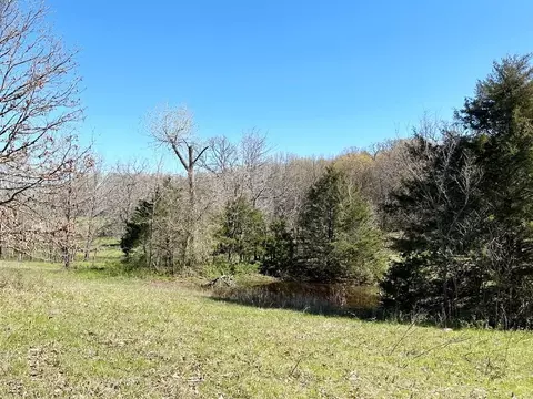 000 SE 1150 Rd, Collins, MO 64738 photo 9