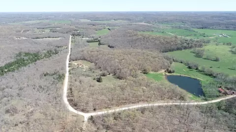 000 SE 1150 Rd, Collins, MO 64738 photo 3