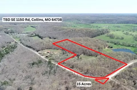 000 SE 1150 Rd, Collins, MO 64738 photo 4