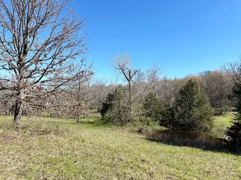 000 SE 1150 Rd, Collins, MO 64738 photo 10