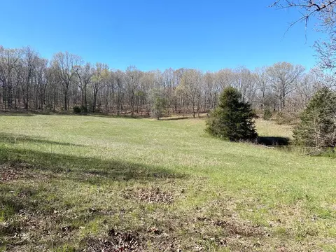 000 SE 1150 Rd, Collins, MO 64738 photo 19