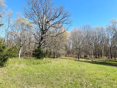 000 SE 1150 Rd, Collins, MO 64738 photo 21